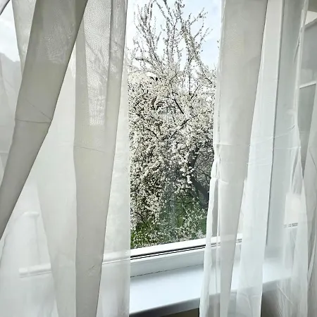 Apartment Narcis Nest