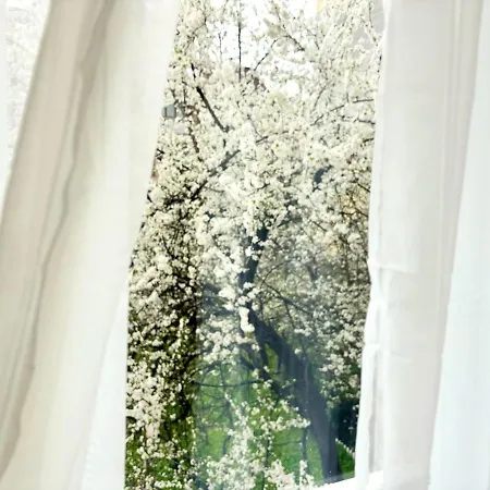 Narcis Nest Apartment